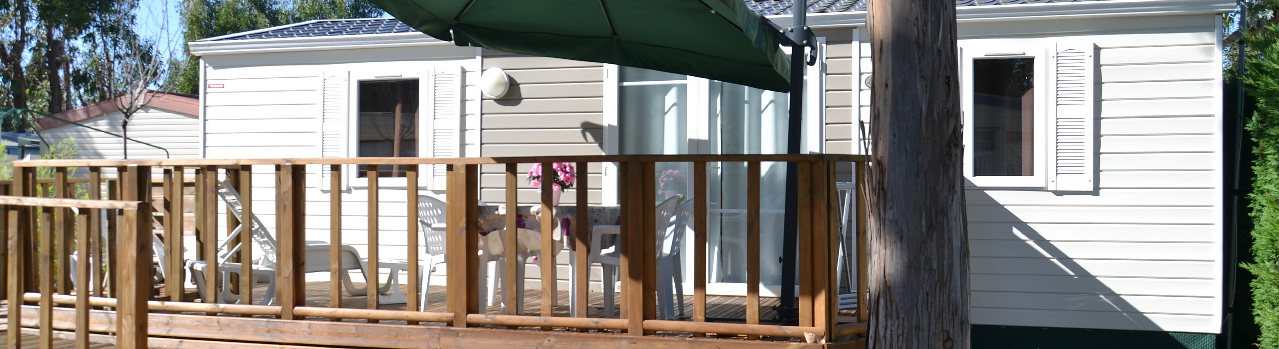 access perfectly adapted