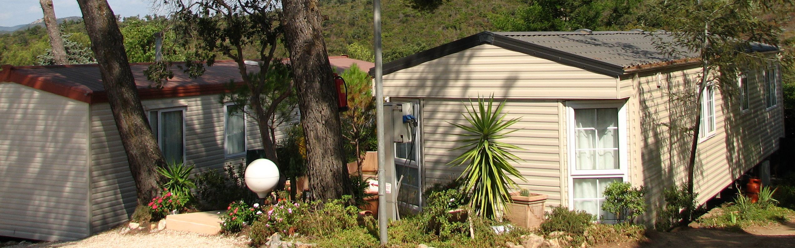 In a real green setting